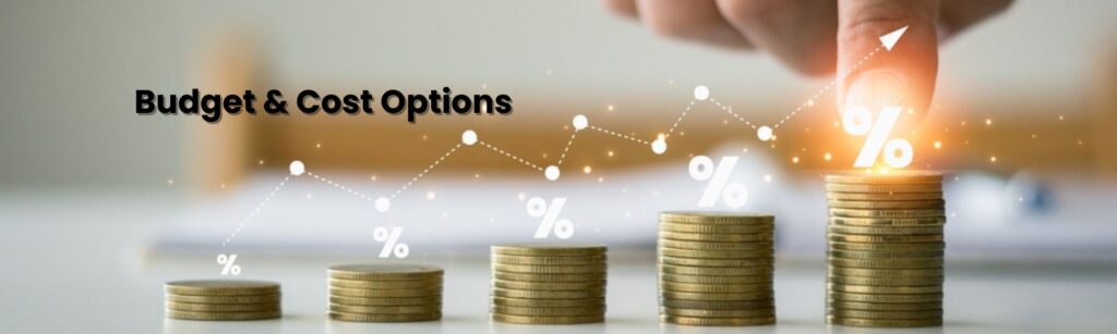 Budget and Cost Options